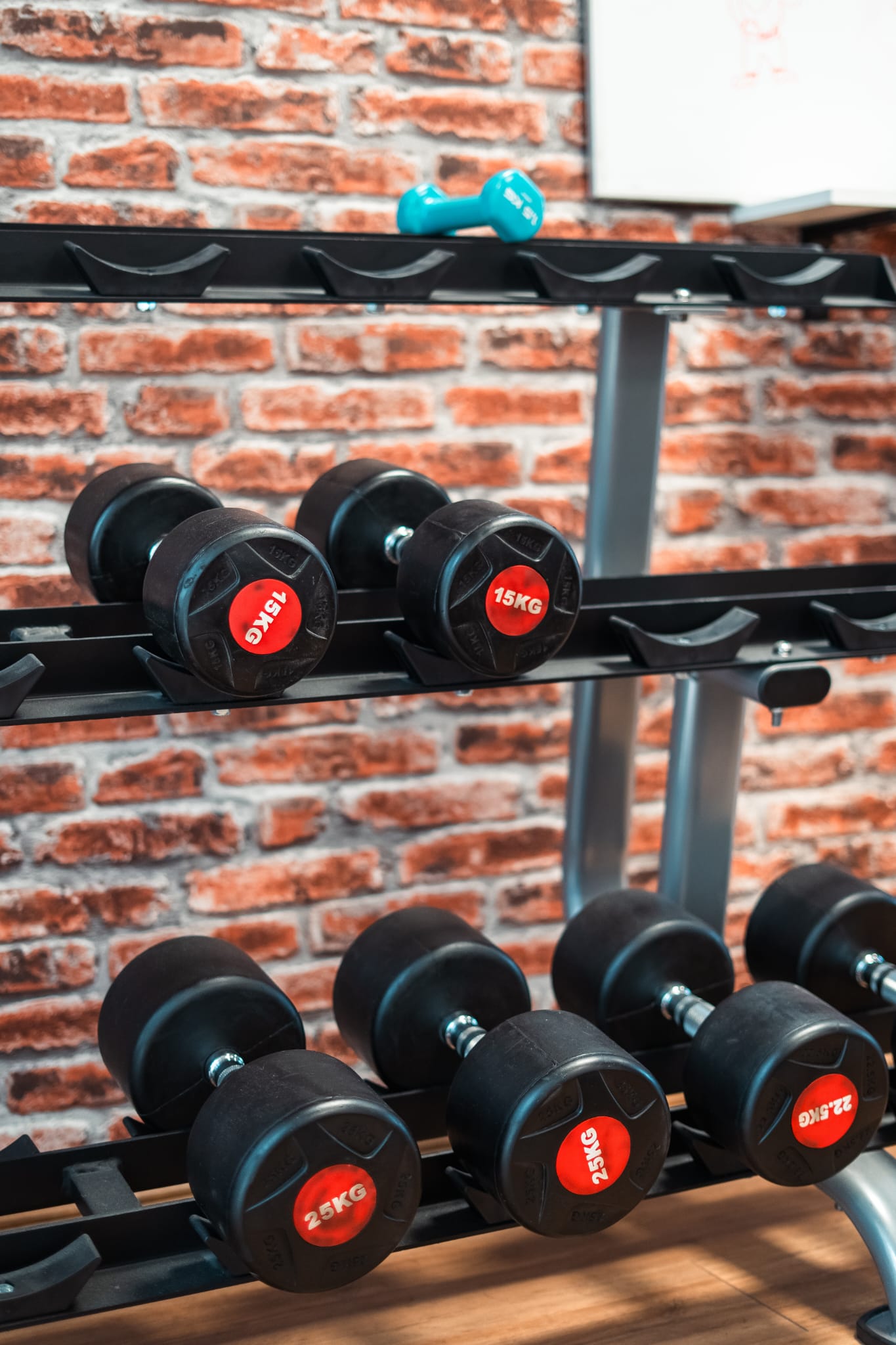 Formation BPJEPS rhône-alpes - Bpjeps rhone alpes - BPJEPS Loire - Salle de sport - Sport et bien être - salle de sport renaison - sport et bien etre renaison